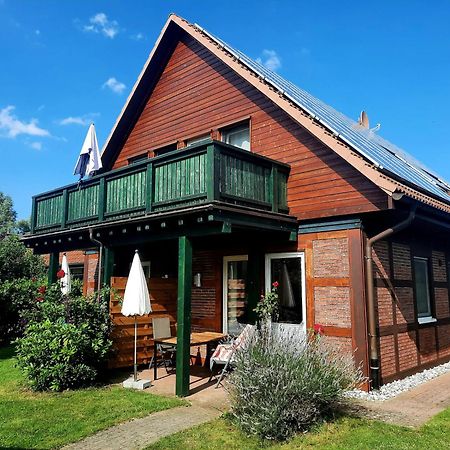Ferienhaus Sasse Ferienwohnungen Mit Garten & Grill Molschow Luaran gambar